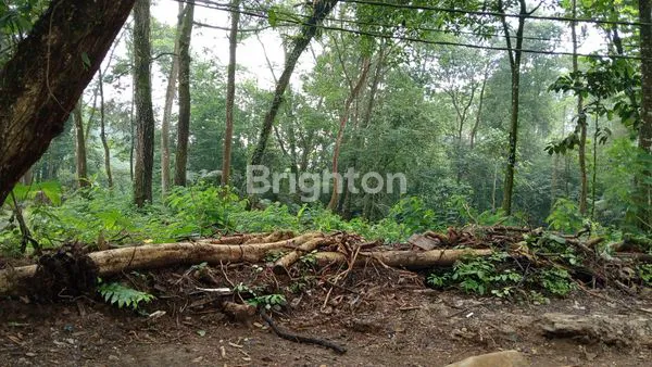 image KAVLING SIAP DIBANGUN VILLA (1)