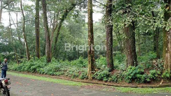 image KAVLING SIAP DIBANGUN VILLA (3)