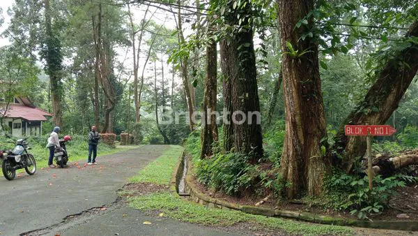 image KAVLING SIAP DIBANGUN VILLA (5)