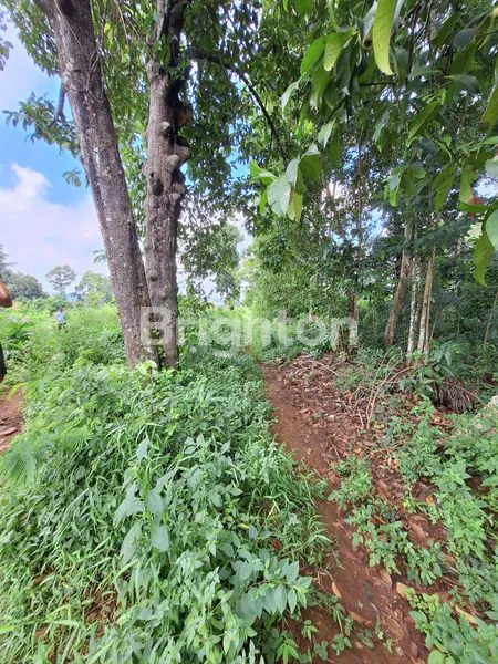 image JUAL TANAH PUDAKPAYUNG (3)