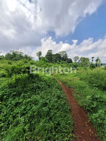 image JUAL TANAH PUDAKPAYUNG (4)