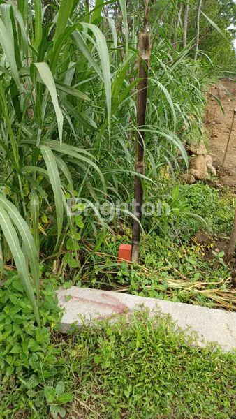 JARANG ADA TANAH ZONA INDUSTRI DIBAWAH HARGA PASARAN DI CEPER KLATEN