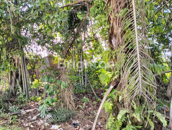 image DIJUAL TANAH PINGGIR JALAN POROS SAMARINDA TENGGARONG (2)