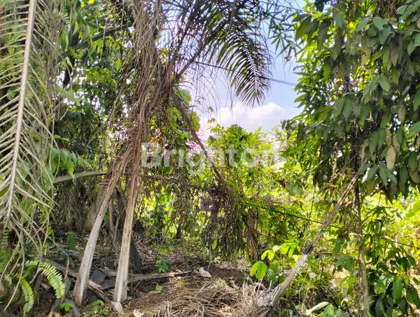 image DIJUAL TANAH PINGGIR JALAN POROS SAMARINDA TENGGARONG (3)