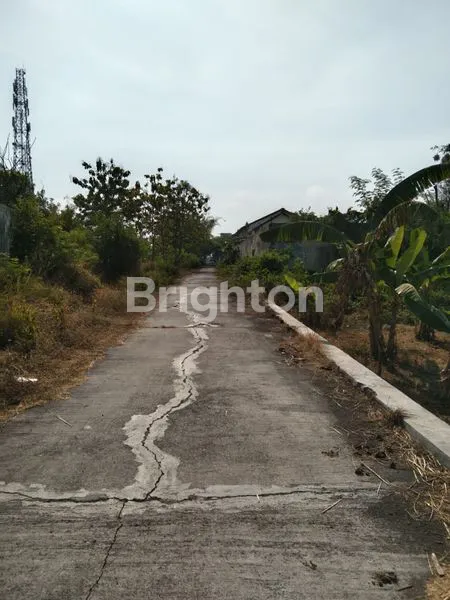 image TANAH COCOK UNTUK PERUMAHAN DI JALAN RAYA SOLO YOGYA (1)