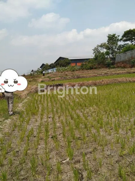 image TANAH COCOK UNTUK PERUMAHAN DI JALAN RAYA SOLO YOGYA (3)