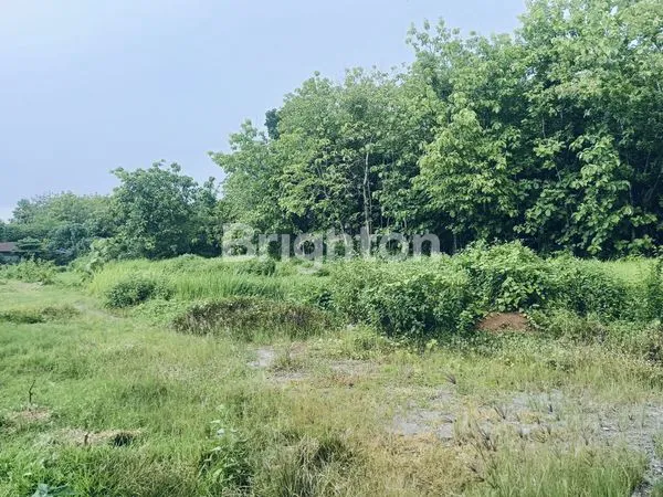 TANAH PERUMAHAN KARTIKASARI