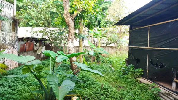 image RUMAH NGANTONG DEKAT TAMAN MAS KEMAMBANG PURWOKERTO (8)