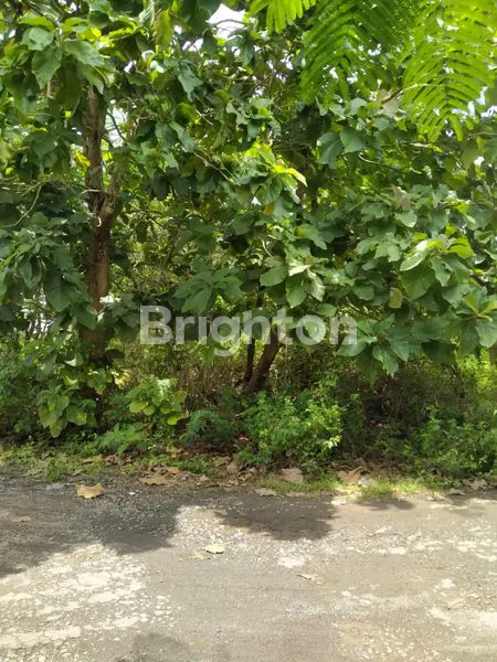 image  TANAH LOKASI STRATEGIS DI DEKAT MALL SIDEWALK (4)