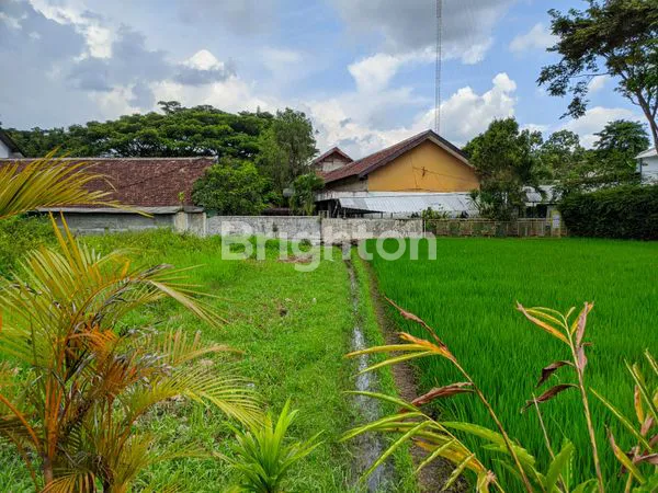 image TANAH MURAH DI KOTA MALANG,LUAS 506 M² DI DAERAH SUKUN, COCOK UNTUK RUMAH HUNIAN DAN INVESTASI (8)