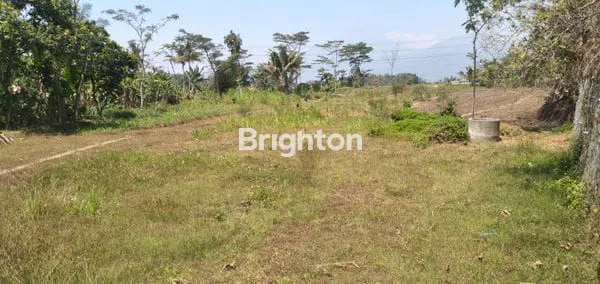 image LAHAN DI TENGAH KOTA UNGARAN, LAHAN SIAP BANGUN , UNGARAN BARAT - SEMARANG (1)