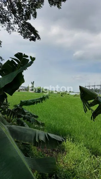 image TANAH LUAS (3)