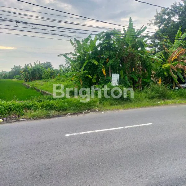 image TANAH LUAS STRATEGIS DEKAT PGRI, SONOSEWU (1)