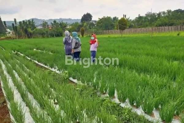 image TANAH LOKASI STRATEGIS LEMBANG (1)