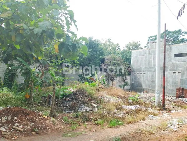 image TANAH ISTIMEWA, SIAP BANGUN, MULAWARMAN, TEMBALANG (4)