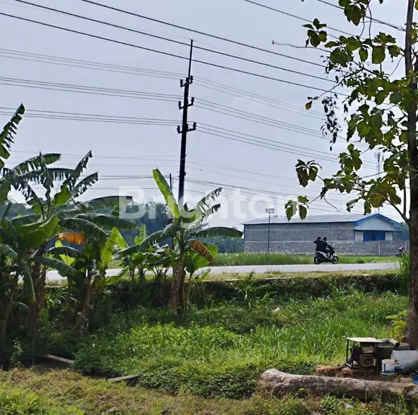 image TANAH DI MOJOWARNO MOJOAGUNG JOMBANG COCOK UNTUK INDUSTRI DAN GUDANG (1)