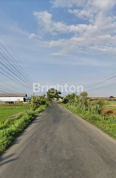 image TANAH DI MOJOWARNO MOJOAGUNG JOMBANG COCOK UNTUK INDUSTRI DAN GUDANG (2)