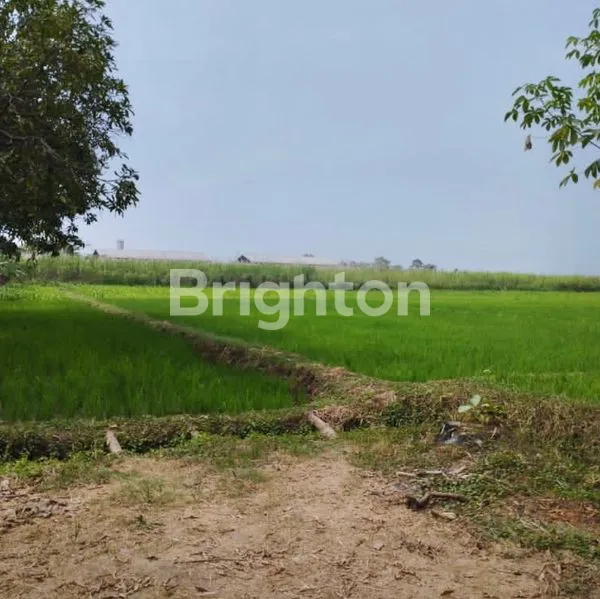 image TANAH DI MOJOWARNO MOJOAGUNG JOMBANG COCOK UNTUK INDUSTRI DAN GUDANG (3)