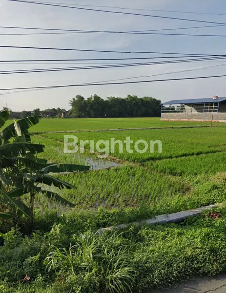 image TANAH DI MOJOWARNO MOJOAGUNG JOMBANG COCOK UNTUK INDUSTRI DAN GUDANG (4)