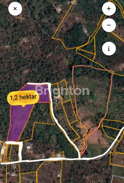 image TANAH 120 ARE/1,2 HEKTAR AREA GESSING MUNDUK BEDUGUL. MURAH HANYA 26JT/ARE (2)