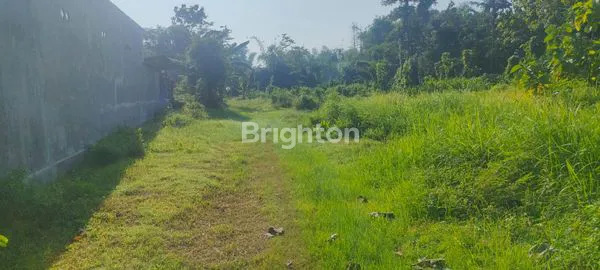 image TANAH MURAH LUAS NOL JALAN DI JOMBANG. SDH PADAT PERUMAHAN (4)
