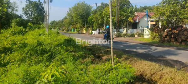 image TANAH MURAH LUAS NOL JALAN DI JOMBANG. SDH PADAT PERUMAHAN (5)