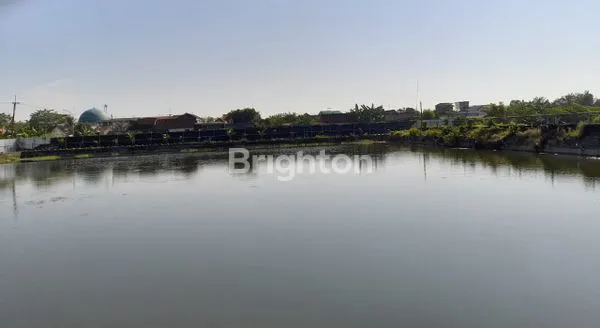 image TAMBAK UDANG PREMIUM 3.8 HA LENGKAP DENGAN FASILITAS DI GRESIK (4)