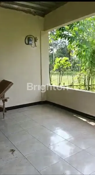 image LAHAN LUAS DI PINGGIR SAWAH DI BOGOR (4)