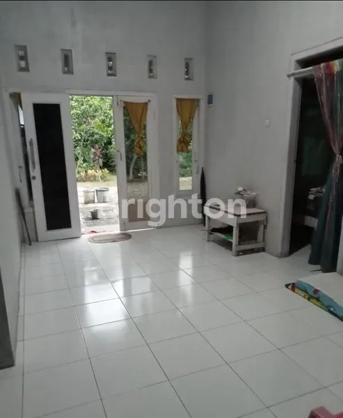 image RUMAH 1 LT BANGUNAN 2021 ADA KEBUNNYA (3)