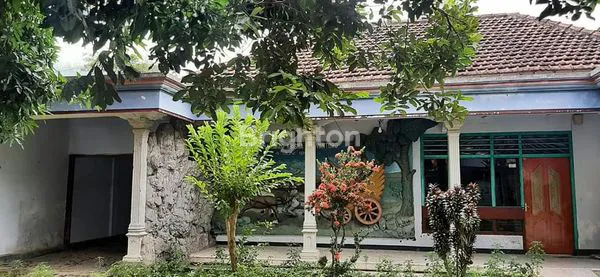 image RUMAH KAMPUNG TANAH LUAS + GILINGAN TEBU DI BELAKANG RUMAH (3)
