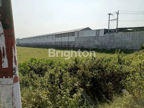 image TANAH INDUSTRI DI COLOMADU DEKAT DENGAN PINTU TOL KLODRAN (3)