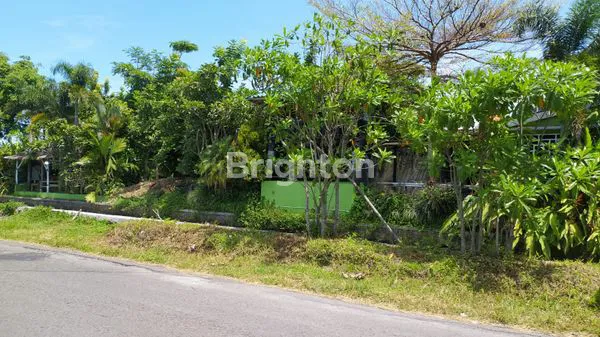 image GUDANG MATESIH SIAP PAKAI DAN STRATEGIS (3)