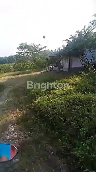 image TANAH DIPINGGIR JALAN LINTAS COCOK BUAT GUDANG, KOMPLEK,RUMAH SAKIT (4)