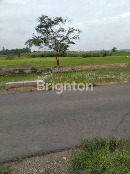 TANAH LUAS SUBUR, ZONA HIJAU, JALAN ASPAL, LAMONGAN