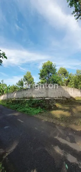 KEBUN DURIAN DI GAJAHREJO PASURUAN