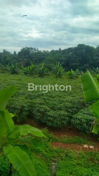 image TANAH DIJUAL DI LOKASI STRATEGIS  DAERAH PAKANSARI CIBINONG HARGA NEGO!!! (2)