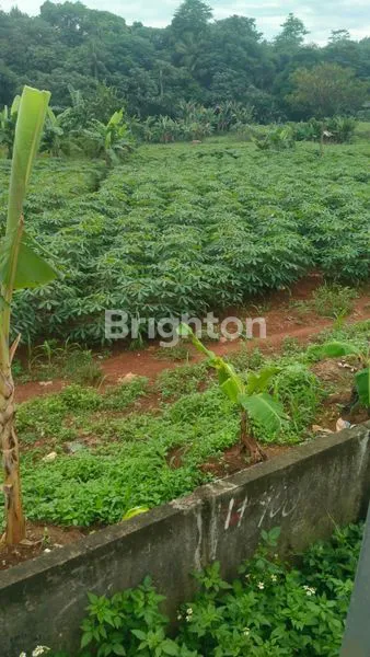 image TANAH DIJUAL DI LOKASI STRATEGIS  DAERAH PAKANSARI CIBINONG HARGA NEGO!!! (1)