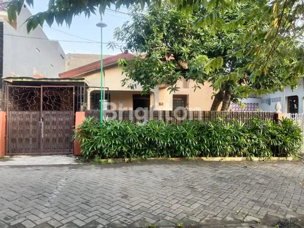 JARANG ADA! RUMAH TENGAH KOTA LUAS TANAHNYA MANTAB