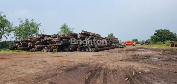 image PABRIK KAYU, LUAS, MESIN LENGKAP, PRODUKSI, GRESIK (2)