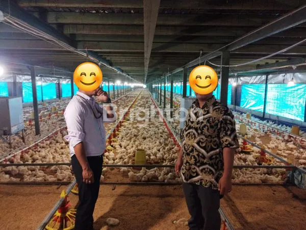 image DIJUAL TANAH PLUS KANDANG AYAM (2)