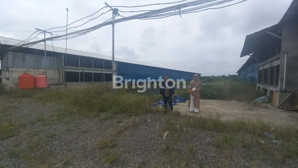 image DIJUAL TANAH PLUS KANDANG AYAM (3)