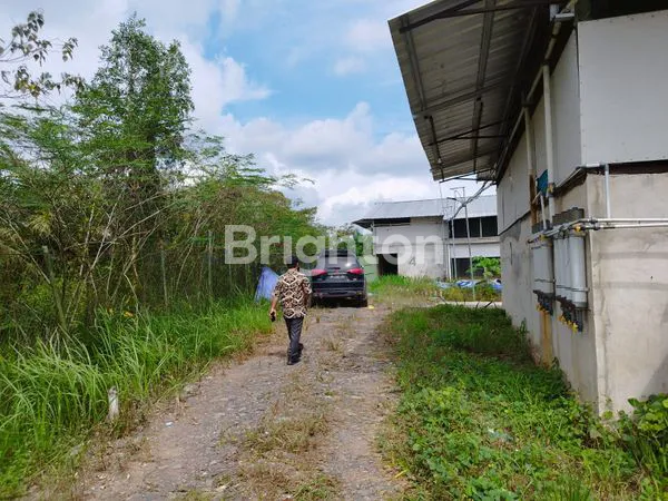 image DIJUAL TANAH PLUS KANDANG AYAM (4)