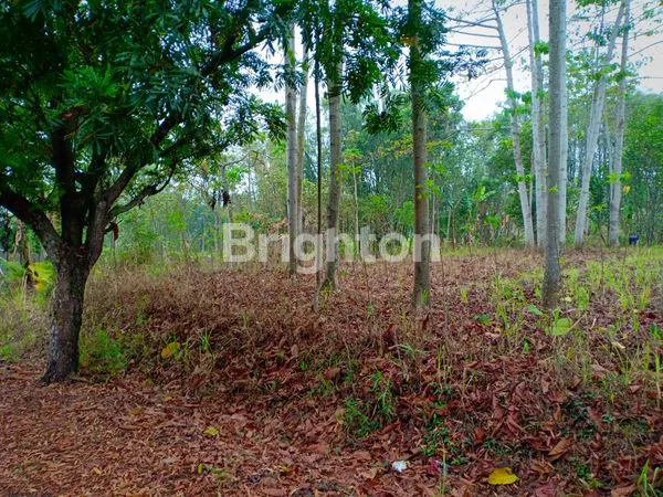 image TANAH MEWAH HARGA MURAH DI PANDERMAN HILL  BATU MALANG (2)