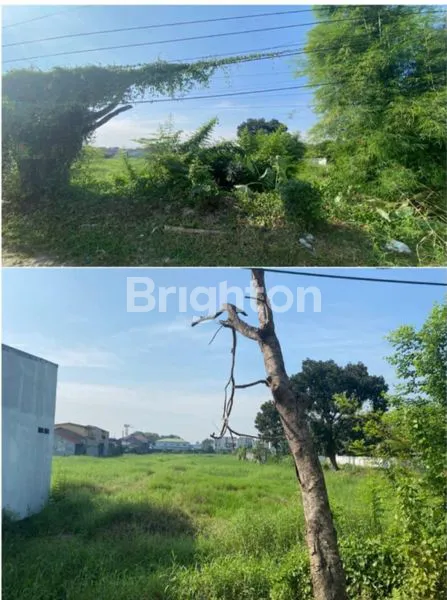 image TANAH ABDUL HAKIM MEDAN SELAYANG (2)