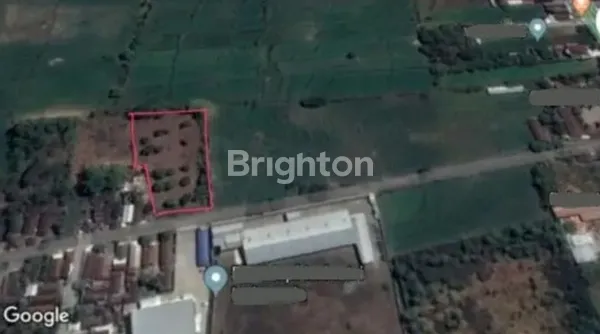 image TERMURAH TANAH BANYU URIP, DEKAT JALAN UTAMA RAYA MOJOSARI TRAWAS (3)