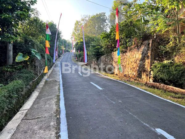 image KEBUN DURIAN MOJOGEDANG MURAH (3)