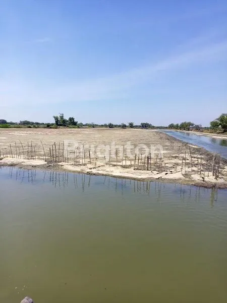 image TAMBAK IKAN UDANG AKTIF DAERAH BUDURAN SIDOARJO (2)