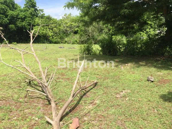 image TANAH GOA GONG 5 DAN 10 ARE AREA VILLA DAN KOST (2)