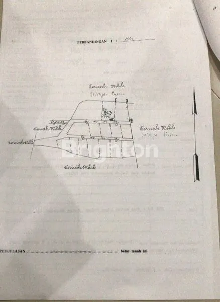 image HOT SALE TANAH 250M2 DI AREA VILLA SEMINYAK (6)