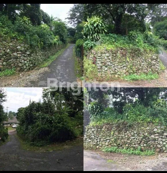 image DIJUAL TANAH DESA CAMBOR, KEC PACET,MOJOKERTO (1)